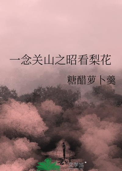 一念关山免费观看西瓜