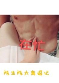 陈生陈太离婚记无弹窗